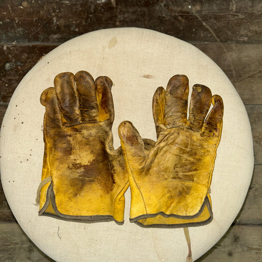 HD Co-Working Handschuhe M/L