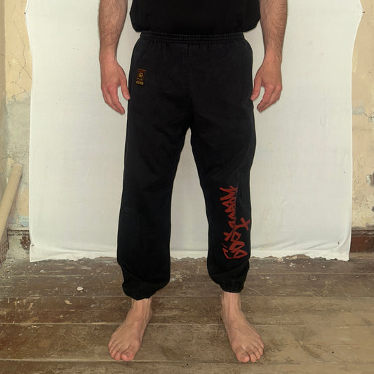 Kung Fu PANT